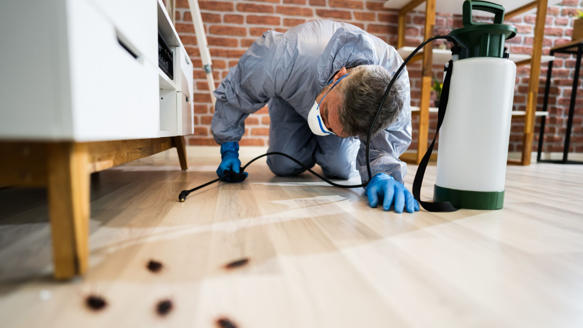 Haşere Avcıları İzmir